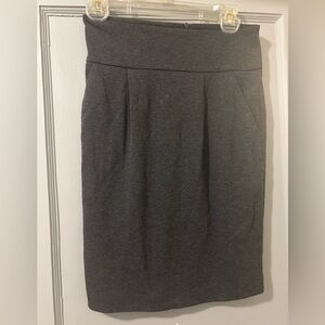 Elegant Gray Women's Skirt